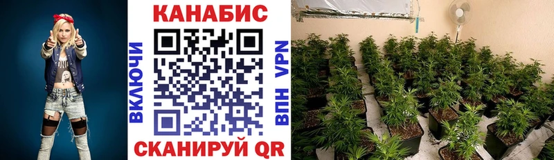 Что такое Лихославль Псилоцибиновые грибы  Амфетамин  COCAIN  Гашиш  Мефедрон  Марихуана 