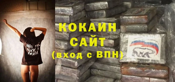 экстази Няндома