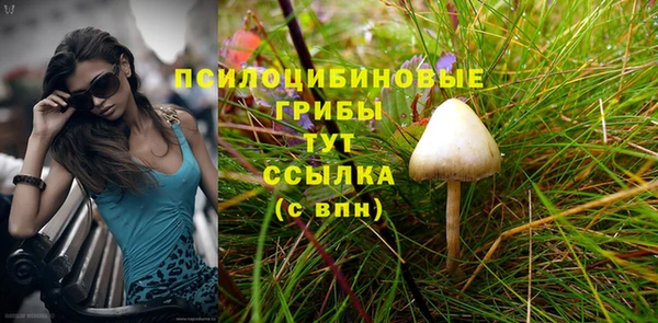 скорость Осинники