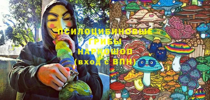 Псилоцибиновые грибы Psilocybe  Лихославль 